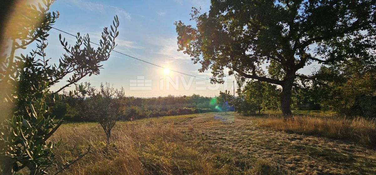 Antica casa istriana con un ampio giardino