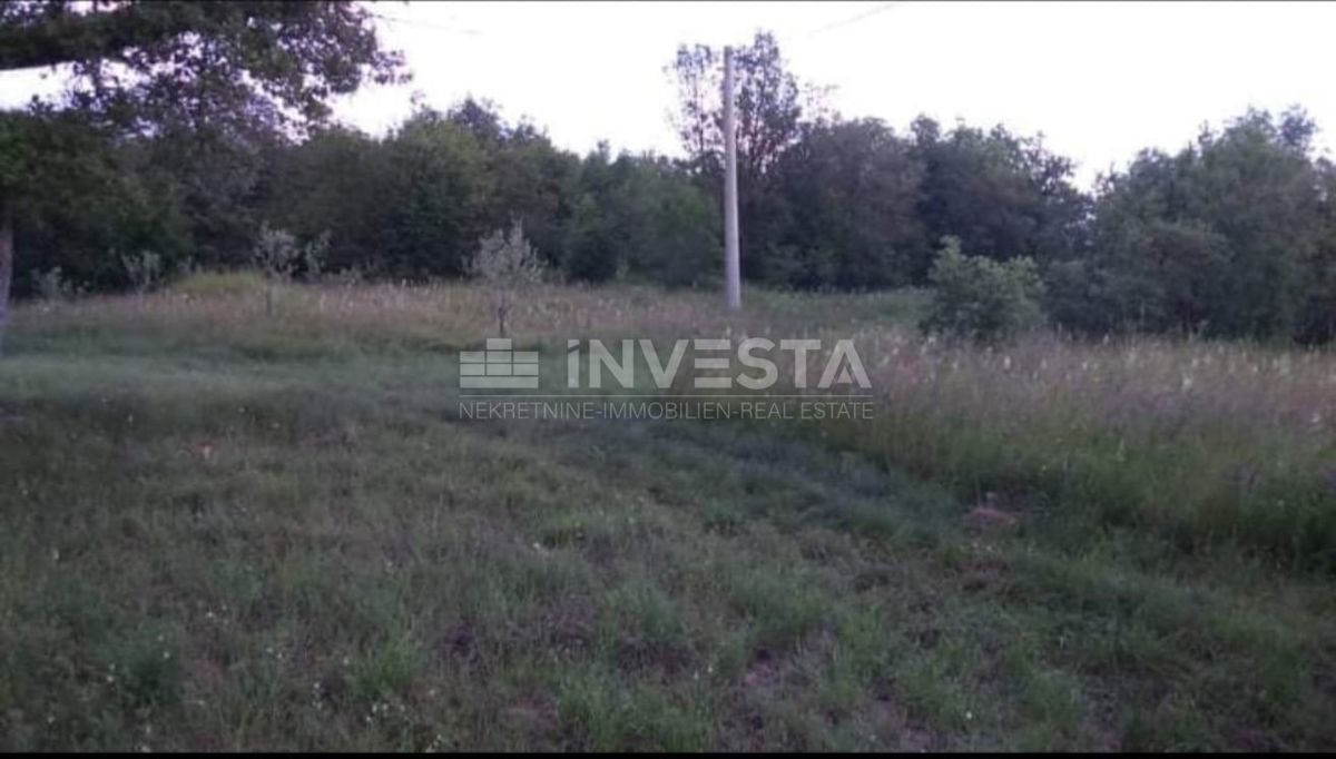 Antica casa istriana con un ampio giardino
