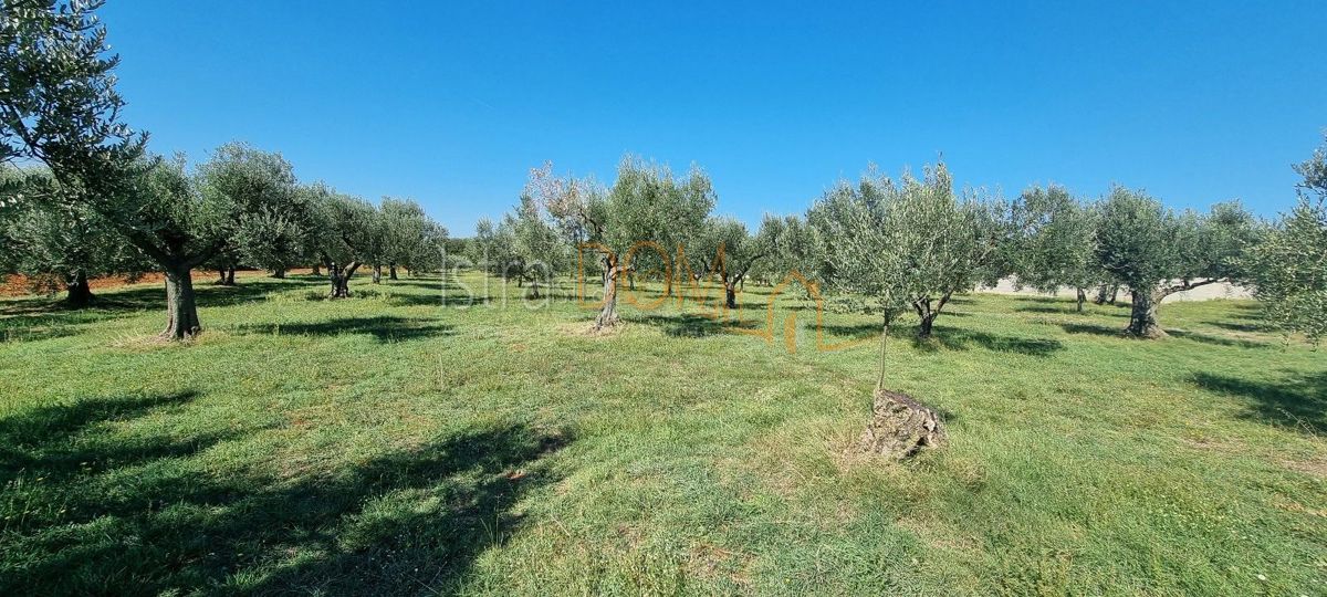 Terreno Muntić, Ližnjan, 7.208m2