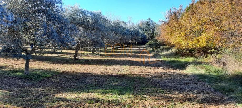 Terreno Deklići, Kaštelir-Labinci, 12.000m2