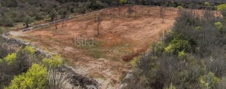 Terreno Bale, 12.400m2