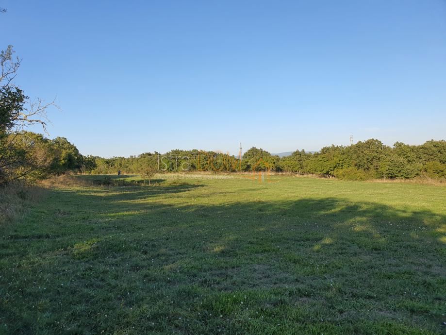 Terreno Cokuni, Marčana, 7.600m2