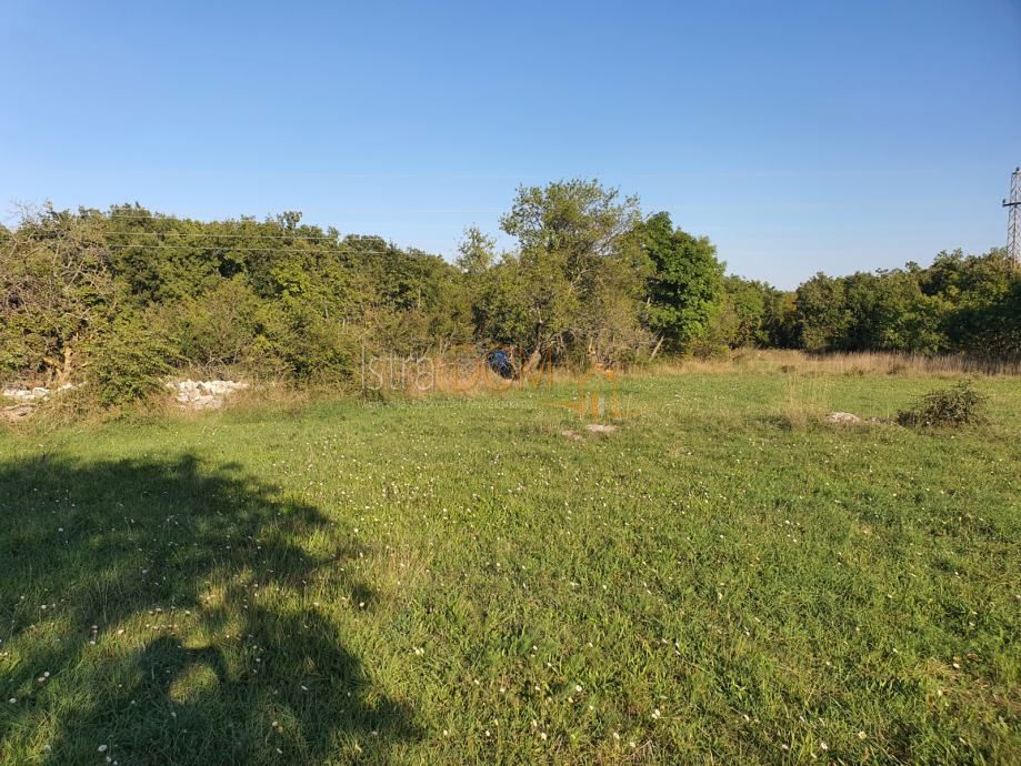 Terreno Cokuni, Marčana, 7.600m2