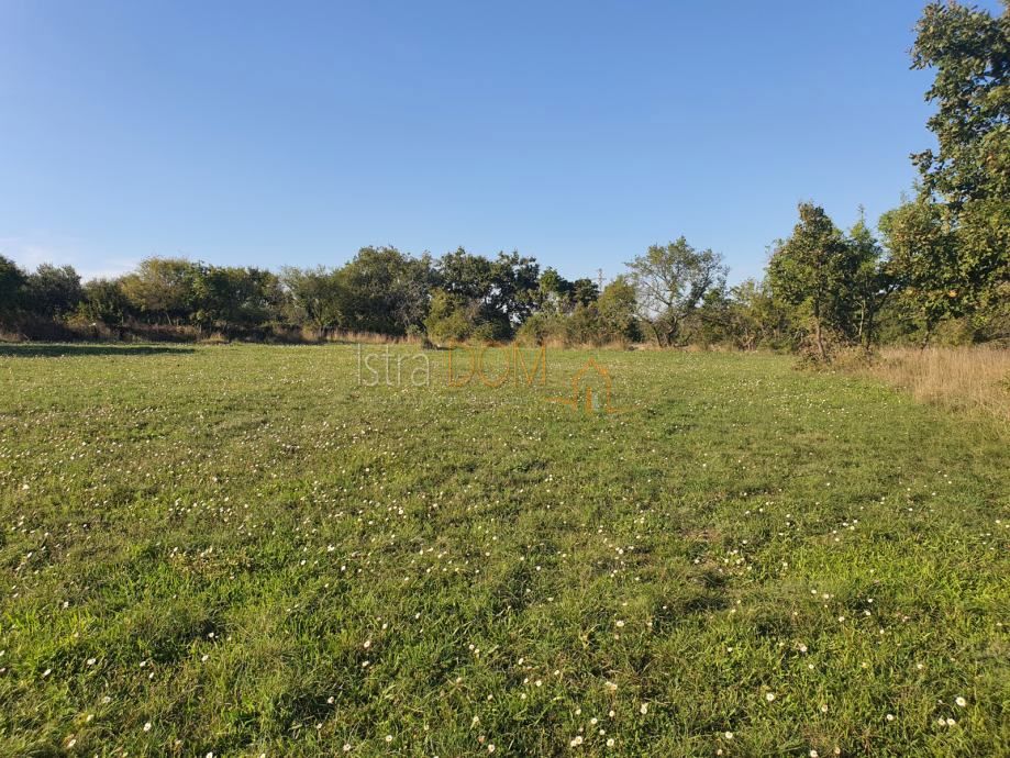 Terreno Cokuni, Marčana, 7.600m2