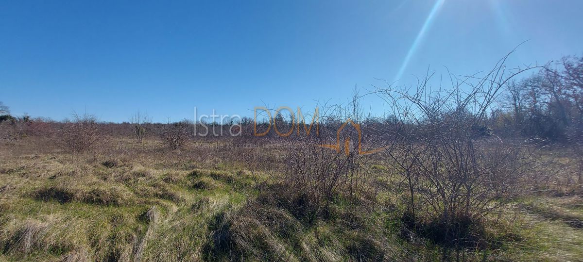 Terreno Cukrići, Svetvinčenat, 4.683m2