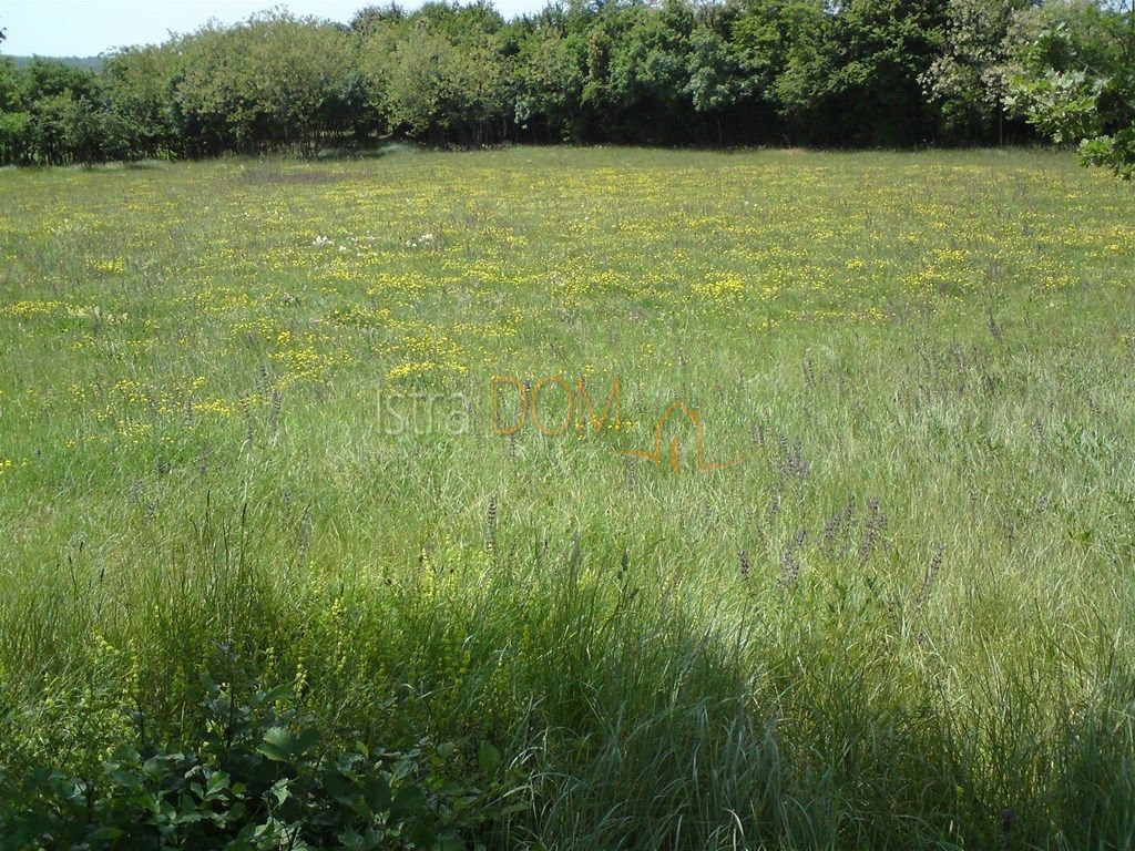 Terreno Rebići, Barban, 3.380m2