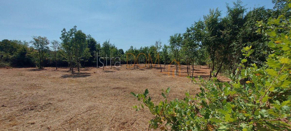 Terreno Čabrunići, Svetvinčenat, 1.829m2