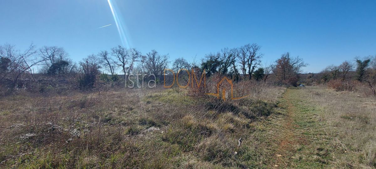 Terreno Cukrići, Svetvinčenat, 8.554m2