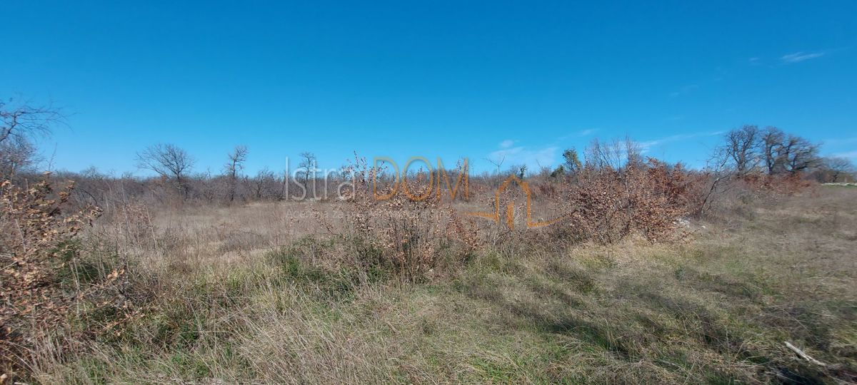 Terreno Cukrići, Svetvinčenat, 8.554m2