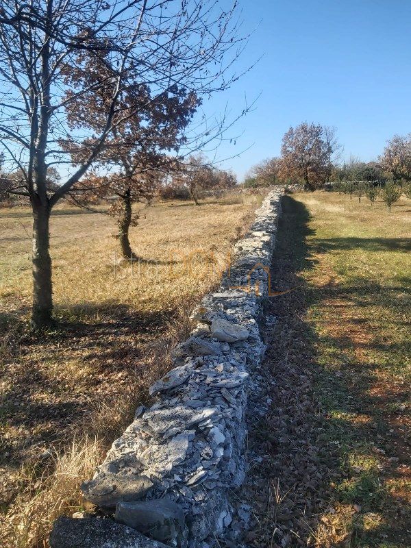 Terreno Smoljanci, Svetvinčenat, 3.996m2