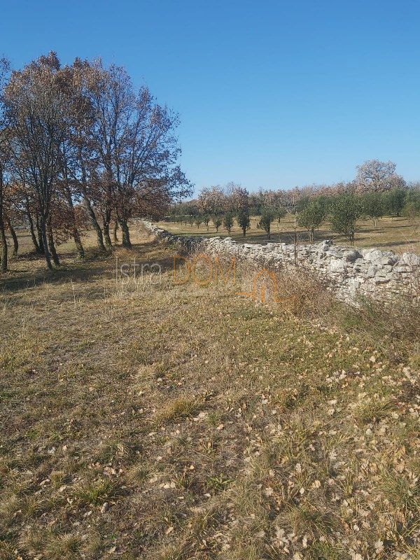 Terreno Smoljanci, Svetvinčenat, 3.996m2