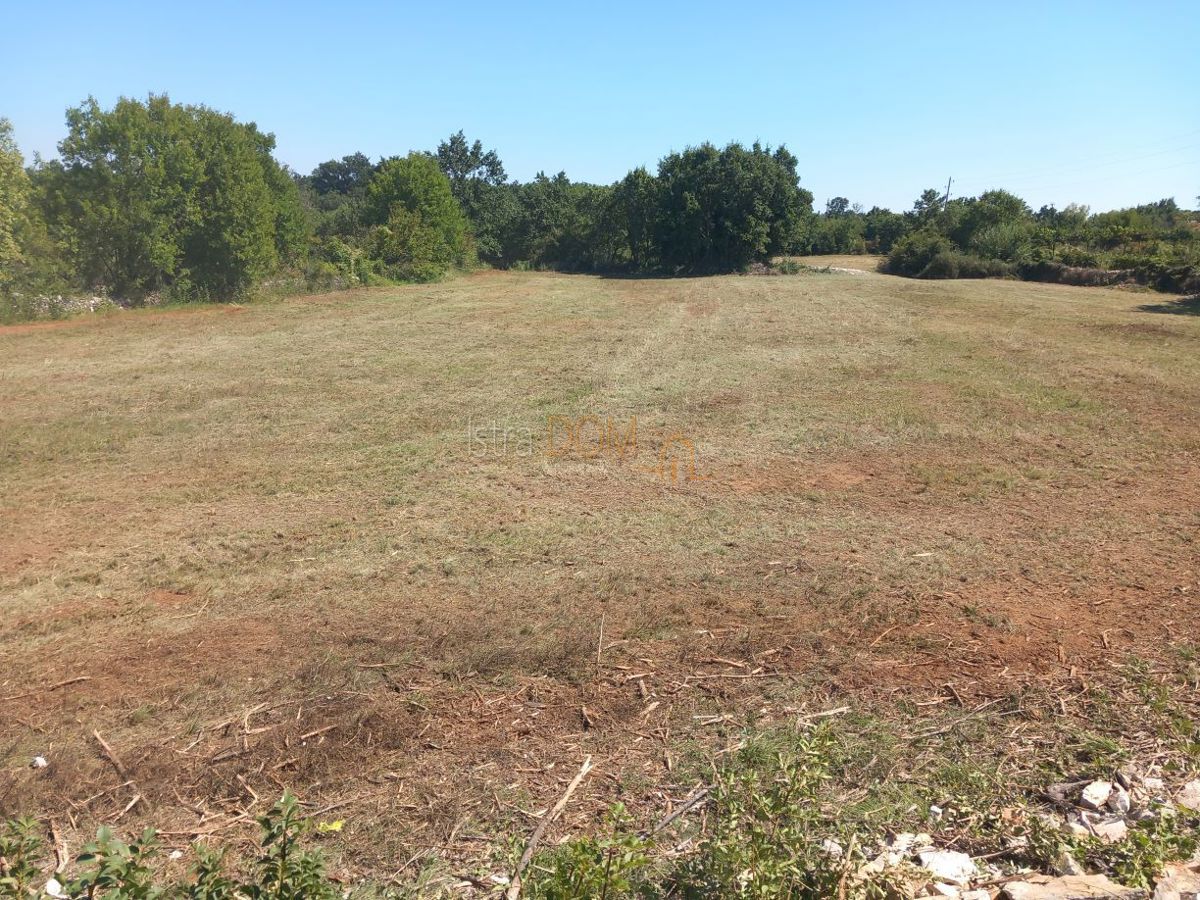 Terreno Butkovići, Svetvinčenat, 1.153m2