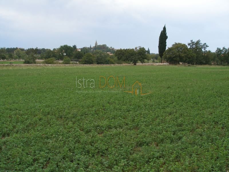 Terreno Jurići, Žminj, 20.000m2