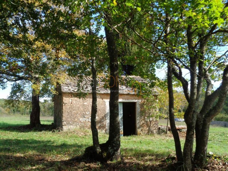 Terreno Jurići, Žminj, 20.000m2