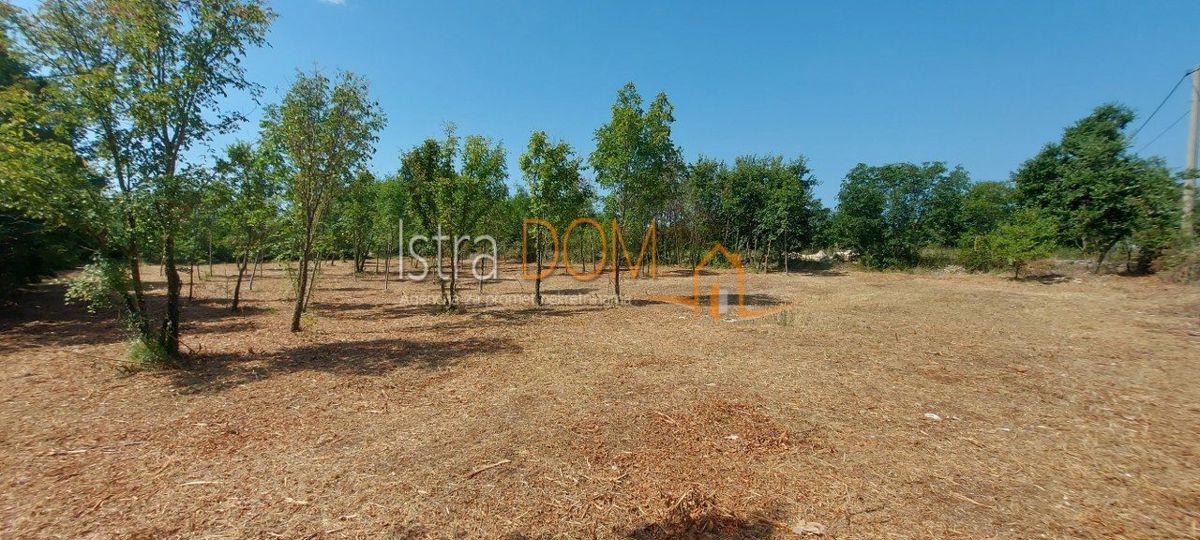 Terreno Čabrunići, Svetvinčenat, 965m2