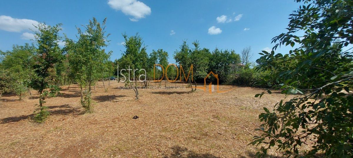 Terreno Čabrunići, Svetvinčenat, 965m2