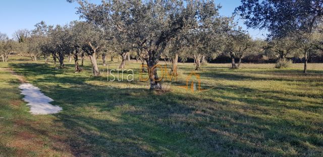 Terreno Šegotići, Marčana, 4.500m2