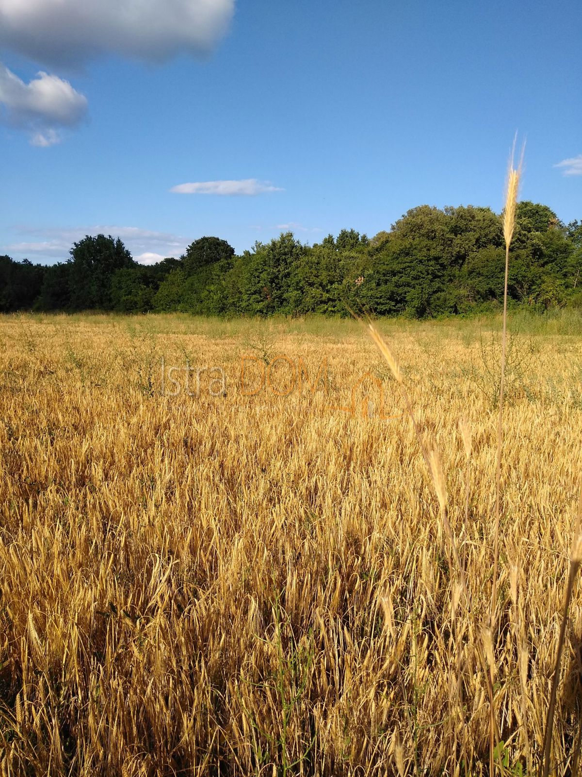 Terreno Valtura, Ližnjan, 4.926m2