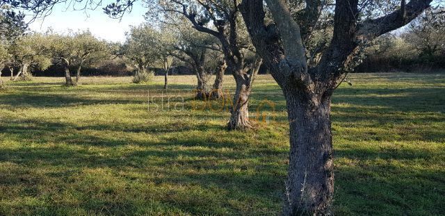 Terreno Šegotići, Marčana, 4.500m2