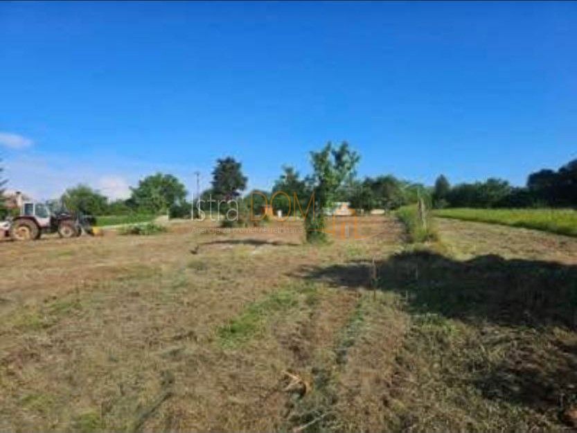 Terreno Žminj, 5.100m2