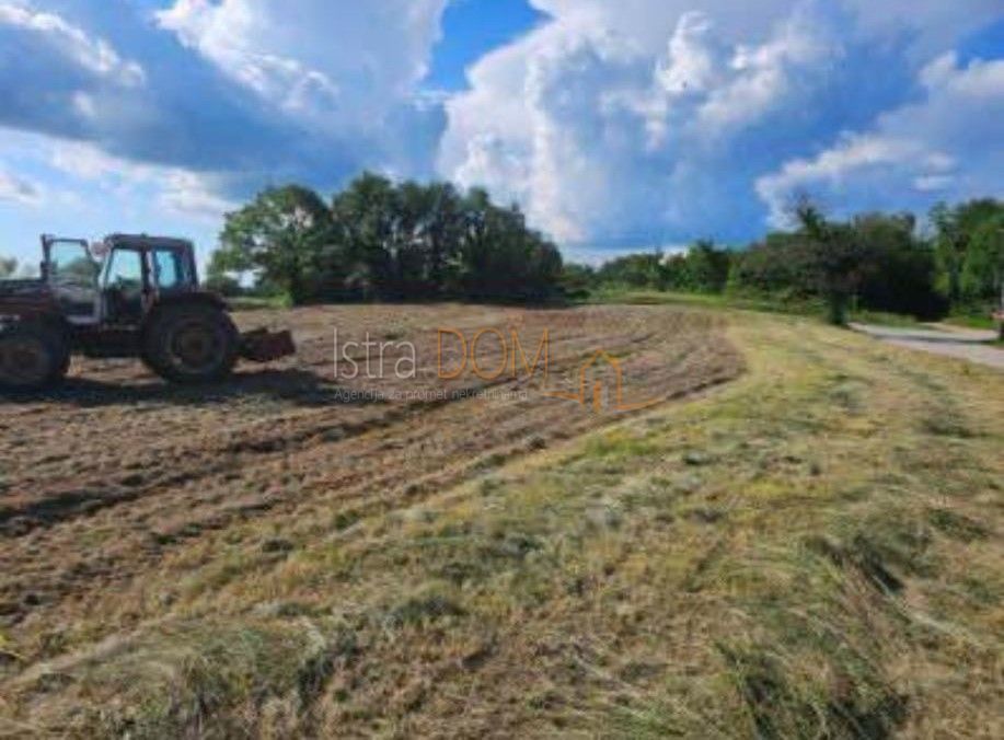 Terreno Žminj, 5.100m2