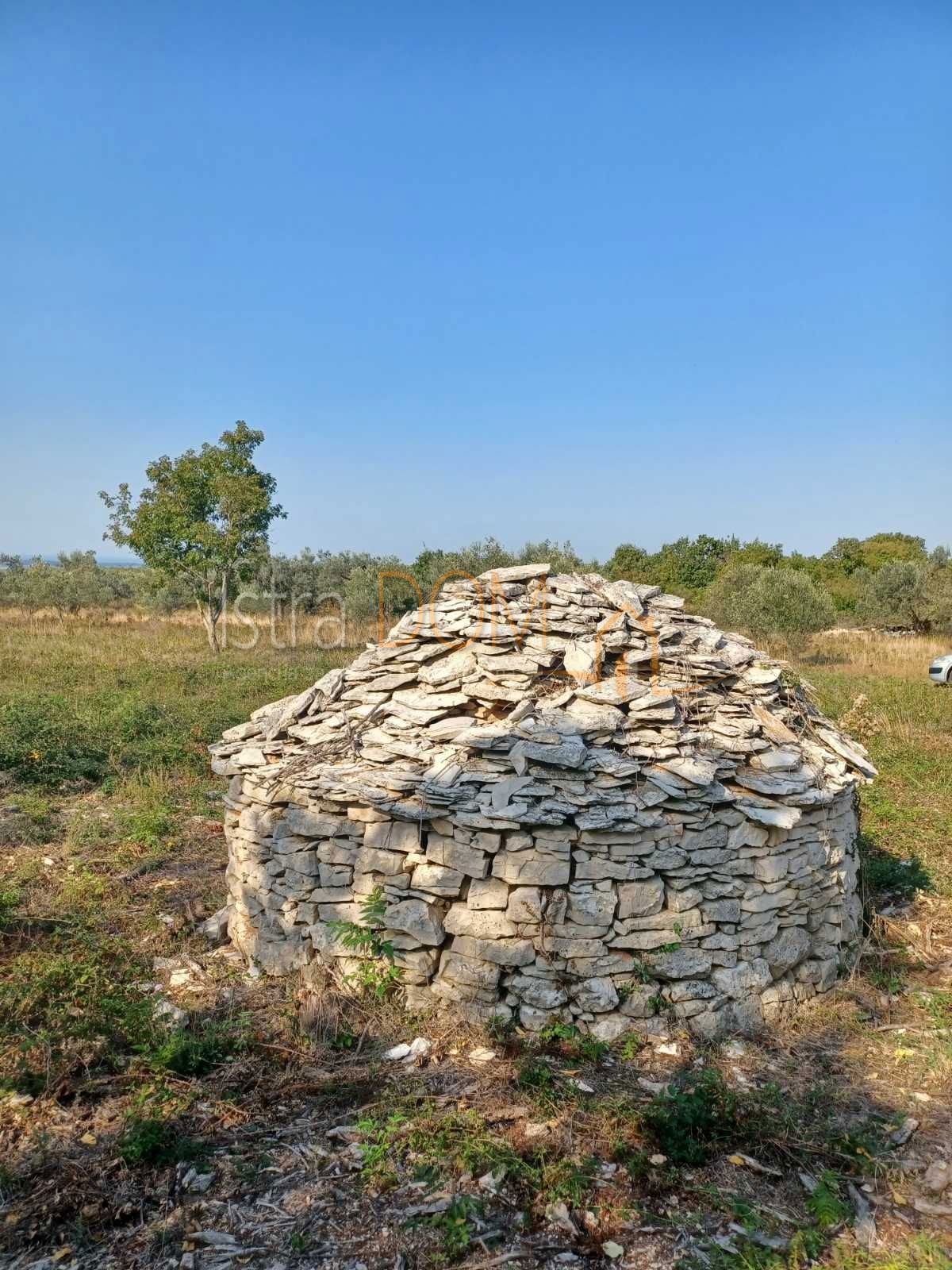 Terreno Galižana, Vodnjan, 4.546m2