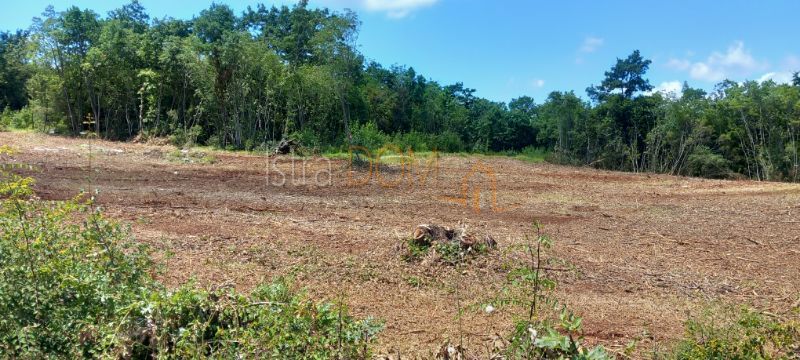 Terreno Šegotići, Marčana, 632m2