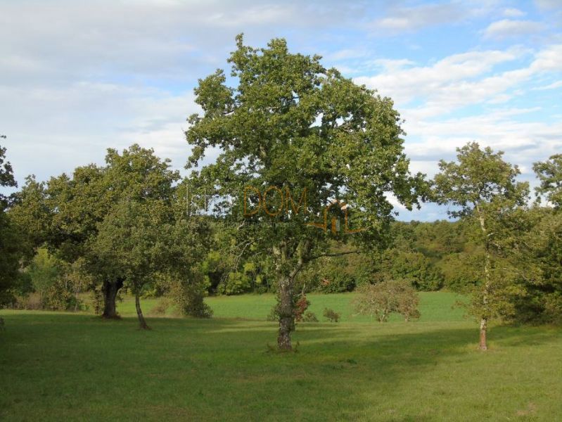 Terreno Sošići, Kanfanar, 84.121m2