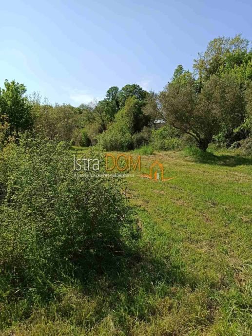 Terreno Pavićini, Marčana, 1.195m2