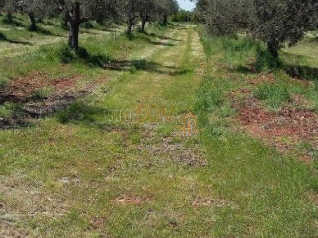 Terreno Fažana, 3.050m2