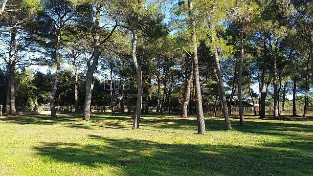 Terreno Rovinj, 12.058m2