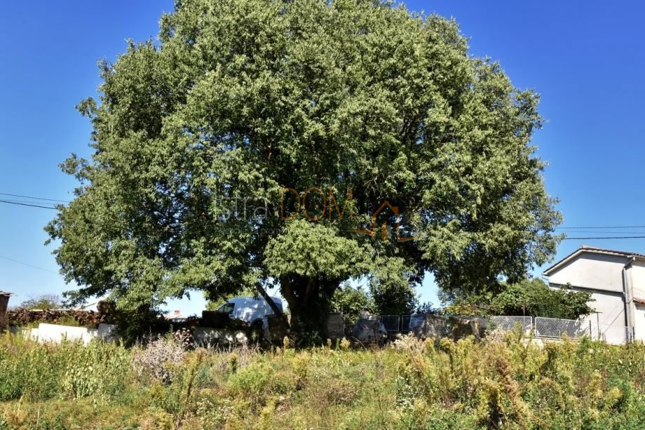 Terreno Štokovci, Svetvinčenat, 9.270m2