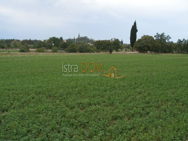 Terreno Jurići, Žminj, 20.000m2