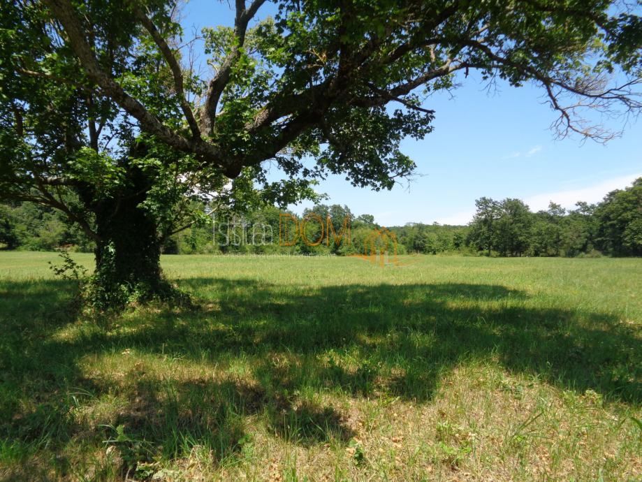 Terreno Jurići, Žminj, 20.000m2