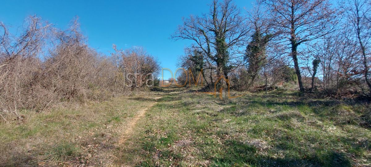Terreno Cukrići, Svetvinčenat, 8.554m2