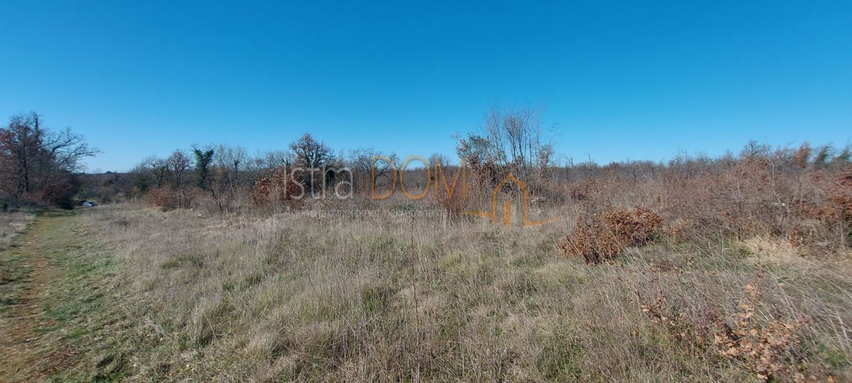 Terreno Cukrići, Svetvinčenat, 8.554m2