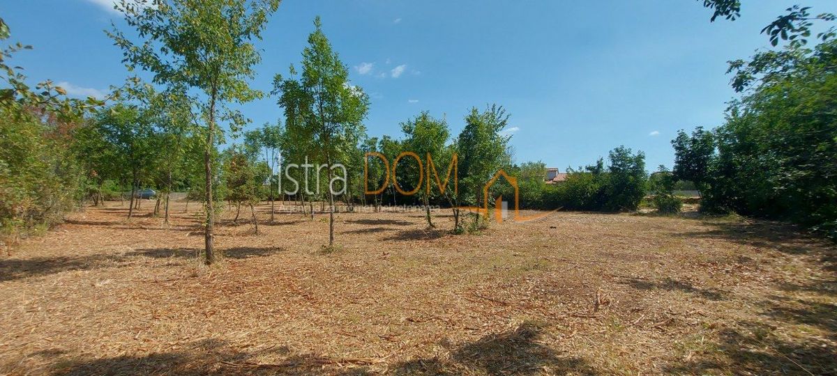 Terreno Čabrunići, Svetvinčenat, 965m2