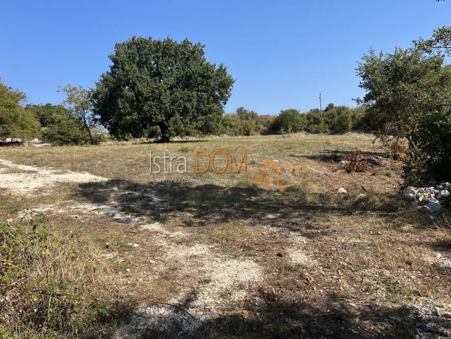 Terreno Šajini, Barban, 3.352m2