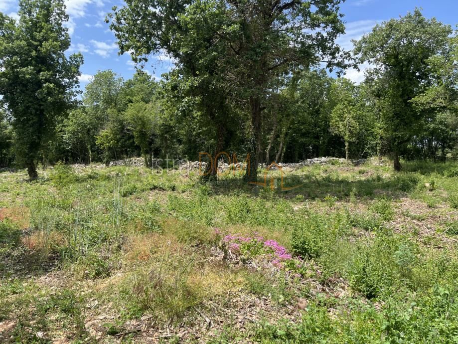 Terreno Heraki, Sveti Lovreč, 1.350m2