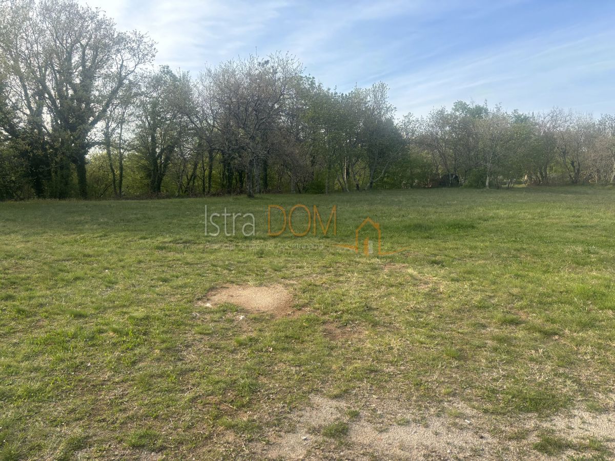 Terreno Nedešćina, Sveta Nedelja, 3.440m2