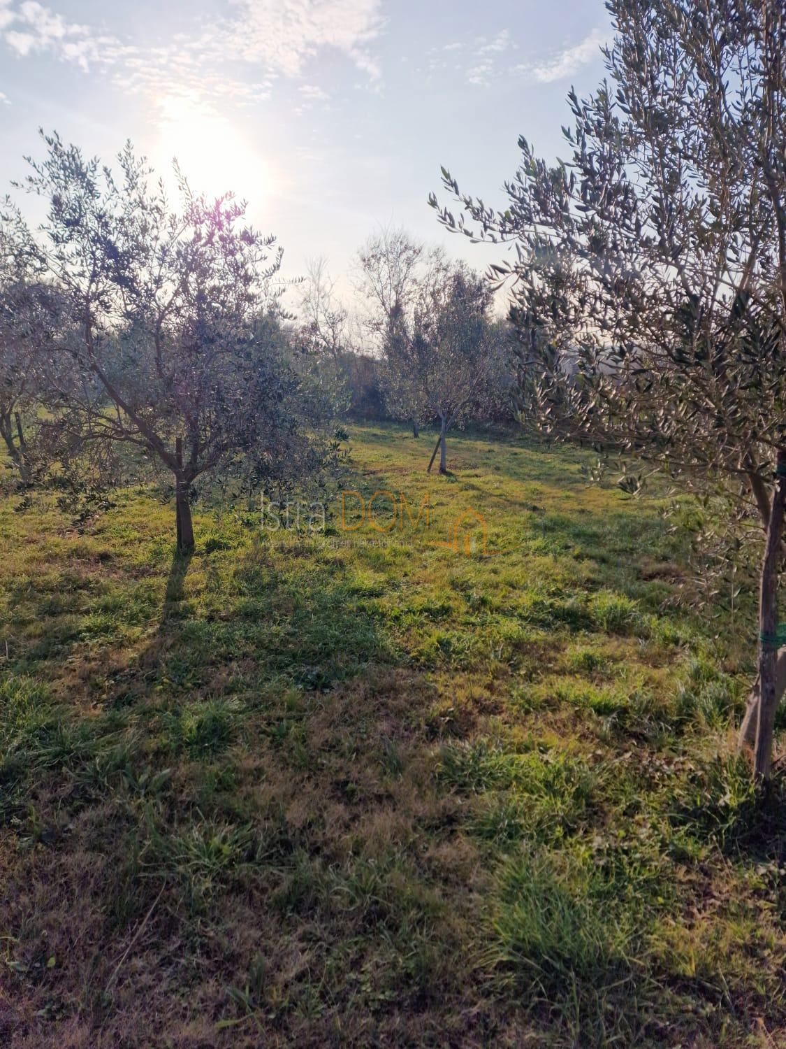 Terreno Ližnjan, 4.620m2