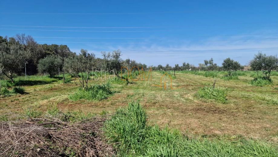 Terreno Valdebek, Pula, 9.603m2