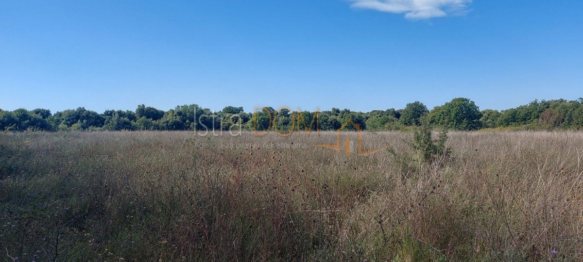 Terreno Šišan, Ližnjan, 14.437m2