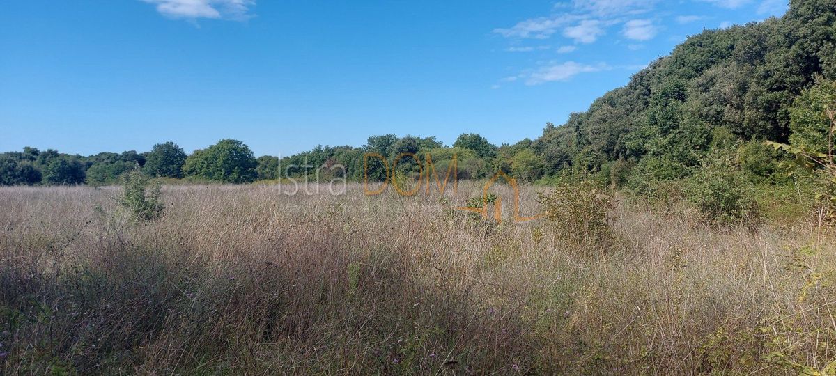 Terreno Šišan, Ližnjan, 14.437m2
