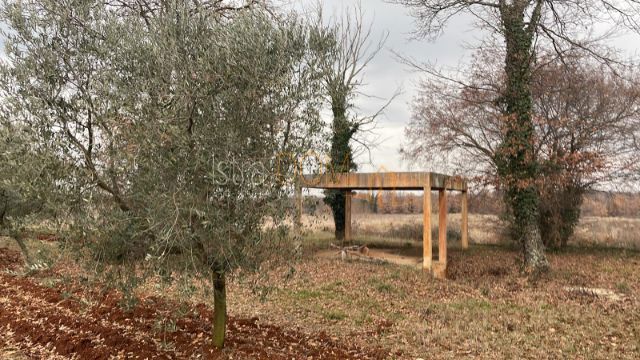 Terreno Novigrad, 9.630m2