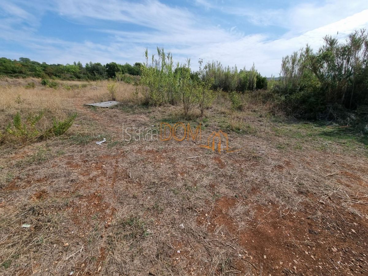 Terreno Šijana, Pula, 12.175m2