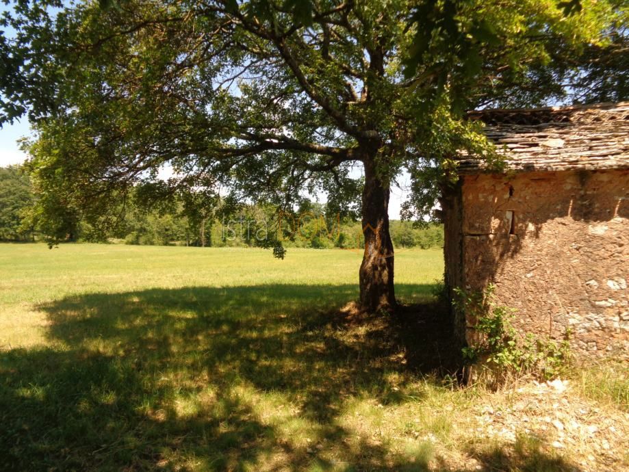Terreno Jurići, Žminj, 20.000m2