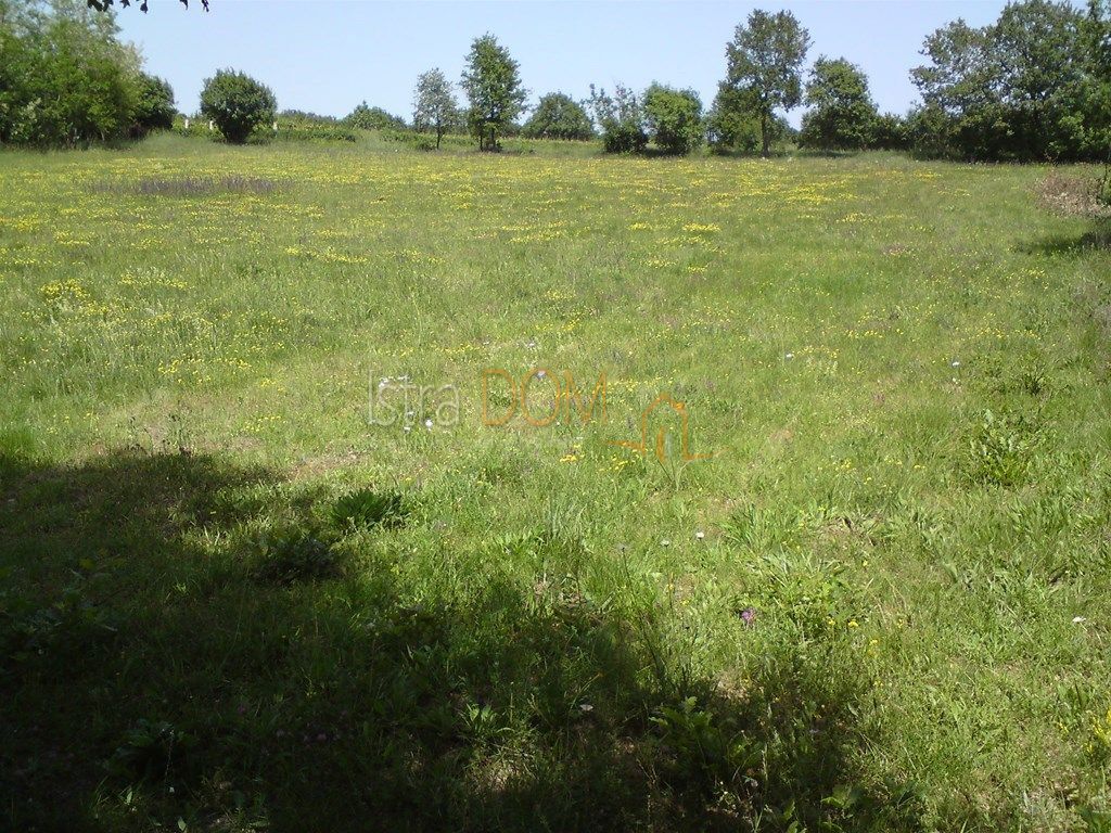 Terreno Rebići, Barban, 3.380m2