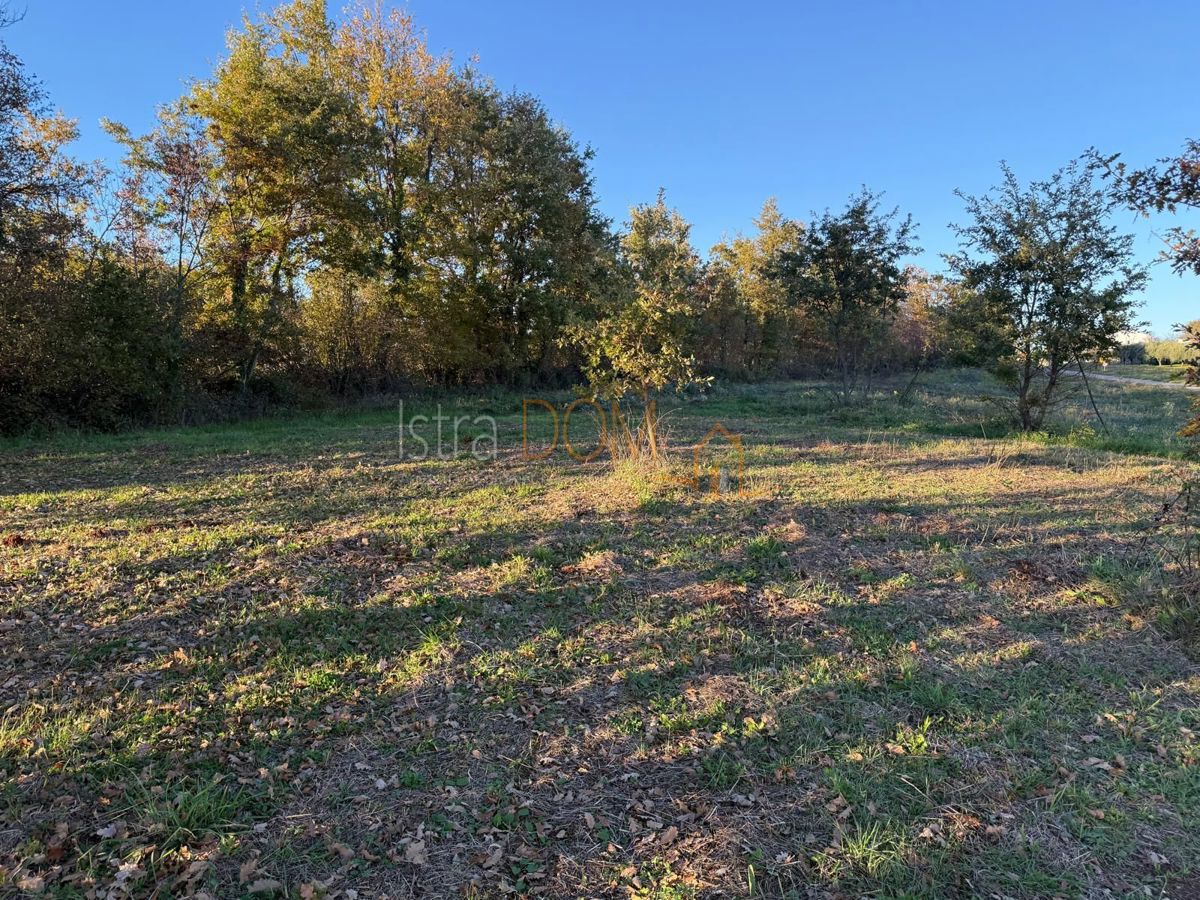 Terreno Koromani, Barban, 544m2