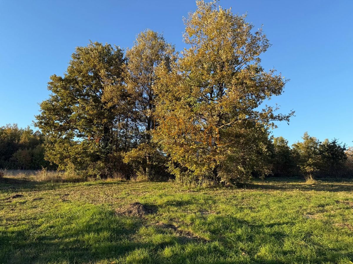 Terreno Koromani, Barban, 544m2